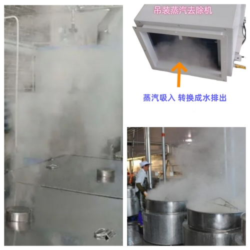 水蒸汽去除機(jī)500.jpg