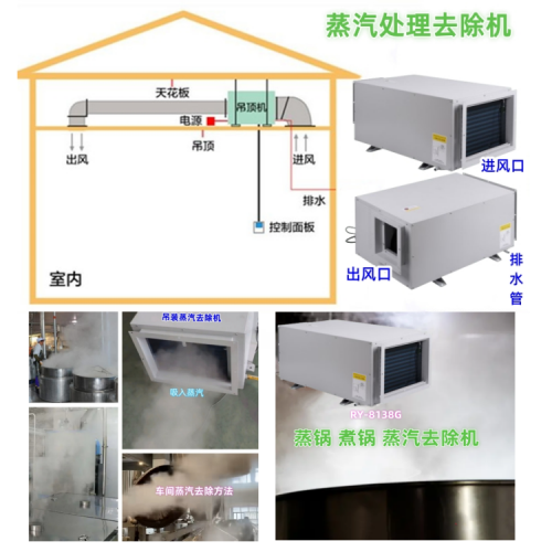 日業(yè) 蒸汽處理 去除機(jī)500.png