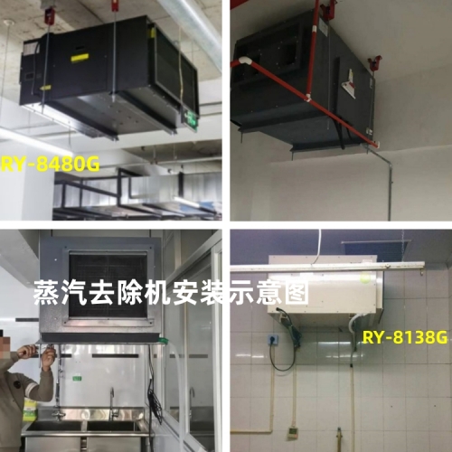蒸汽去除機(jī)吊裝示意圖500.jpg